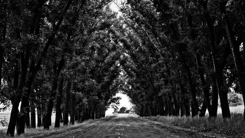 问鼎h5网页关于我们视觉展示